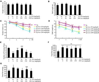 Levetiracetam alleviates cognitive decline in Alzheimer’s disease animal model by ameliorating the dysfunction of the neuronal network